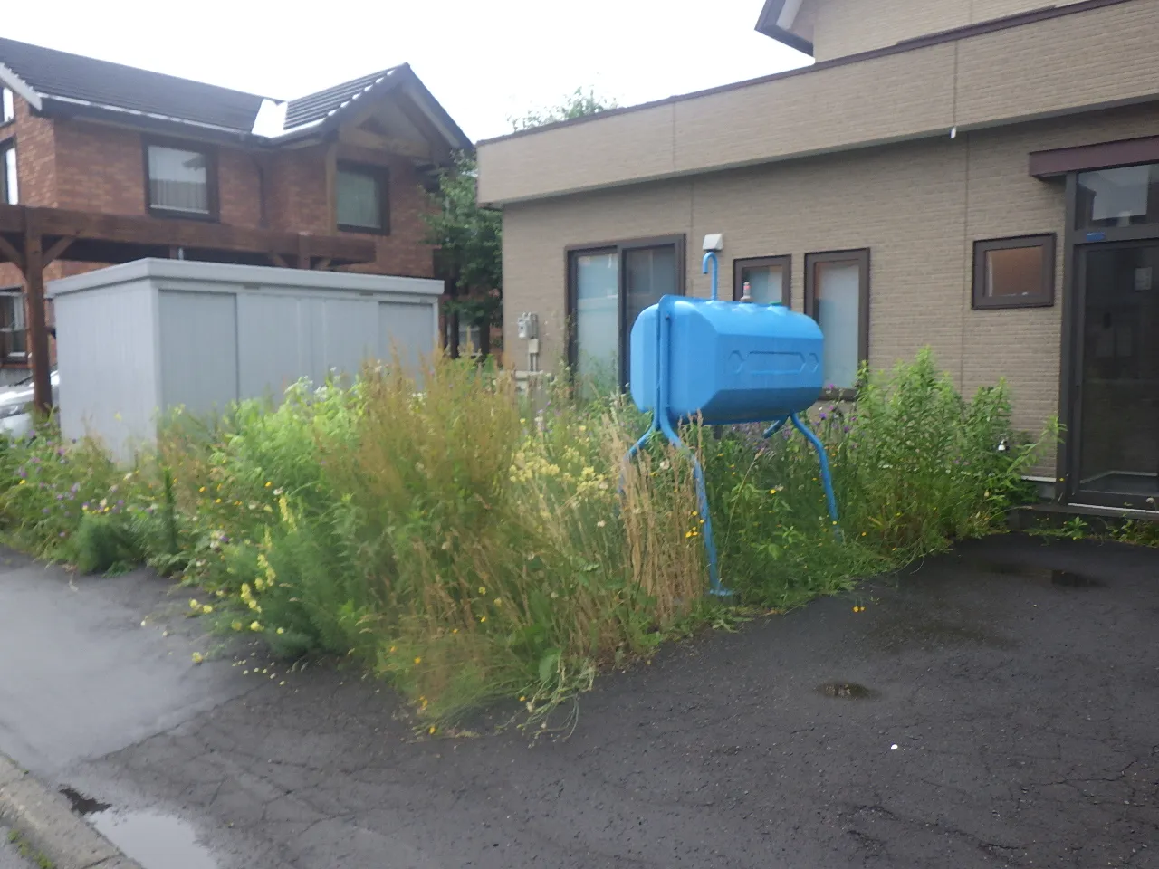 札幌市北区の雑草が生い茂った住宅（玄関前から撮影）ビフォーその１