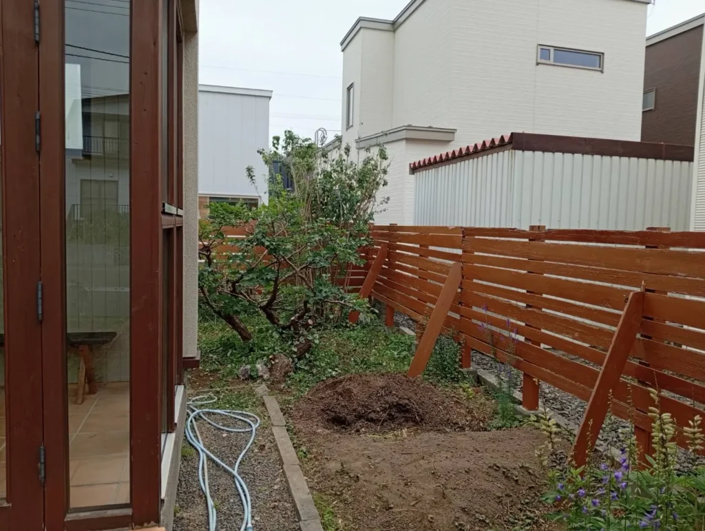 江別市の住宅お庭横にあるコデマリ・千島桜（剪定後）